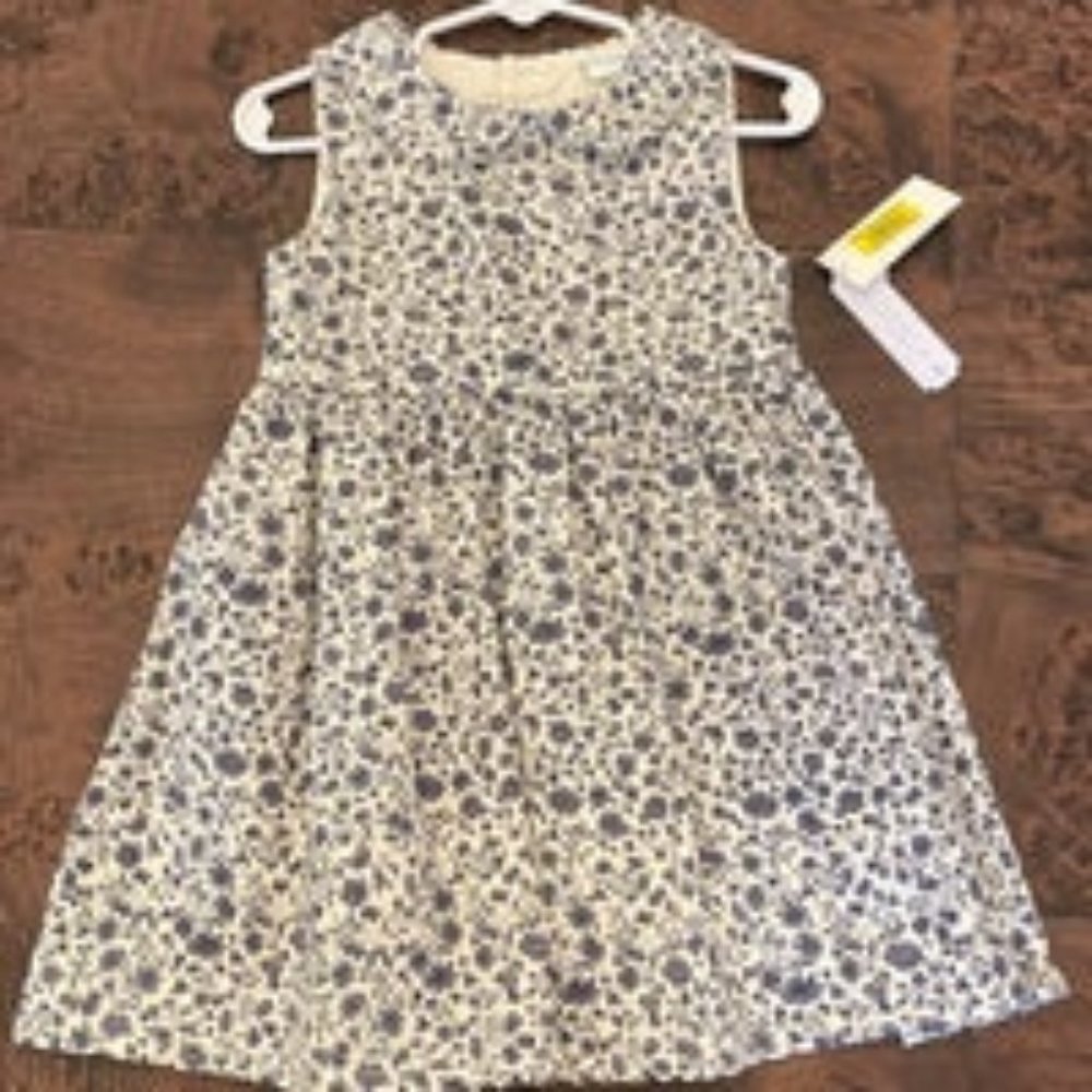 NWT Floral dress from Dillards 2T